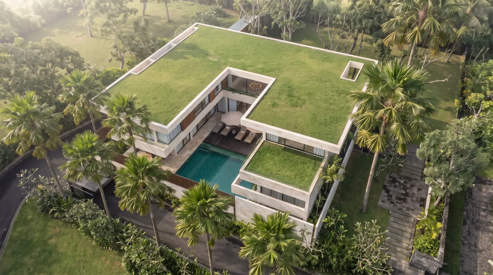 Aerial Green Roof Villa